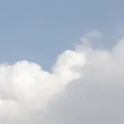 ✿︎の画像