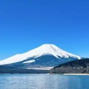 gnocchi8の画像