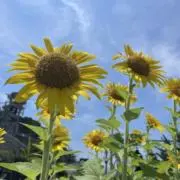 きたば☺︎の画像