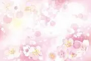 にこ☆ファミリーの画像