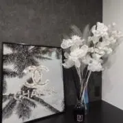ぽぽの画像
