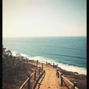 suncoastの画像