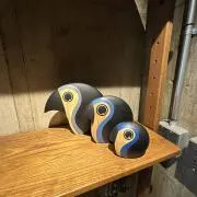 Kosh0226