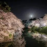 宝島☆