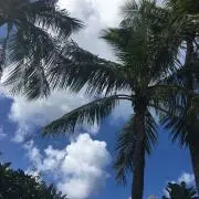 どれみ★プロフ一読お願いしますの画像