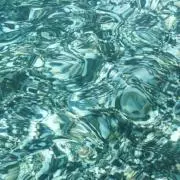 ちょっぴー