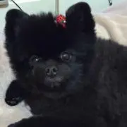 とも