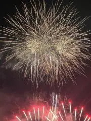 すずきの画像
