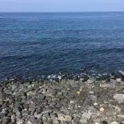 ゆりたいママ