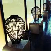 ゆみせんの画像