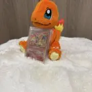 いっちーの画像