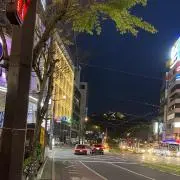 かもの画像