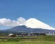 ミント☆の画像