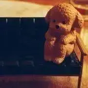 min(紹介文一読希望)の画像