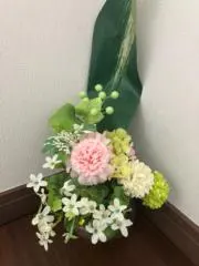 Kayo_05の画像