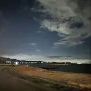 TNの画像