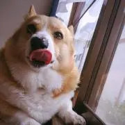 な