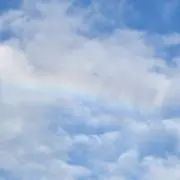 プッチの画像