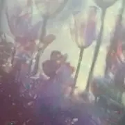 Kyuの画像
