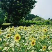 ぁもの画像