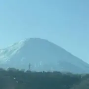 タイン