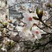 くう☆プロフ確認してね(❁ᴗ͈ˬᴗ͈)の画像