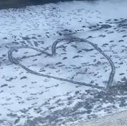 ゆにの画像