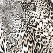 断捨離チャンネルの画像