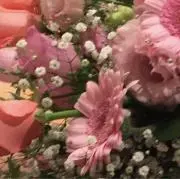 ふわふわの画像