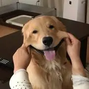 DanKunの画像