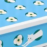 ニキの画像