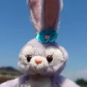 ゆんたママ