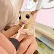 Aichan*の画像