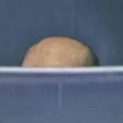 しののめ