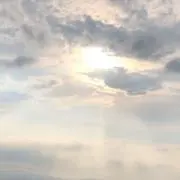 すてぃっちの画像