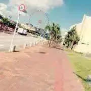 ぴょんの画像