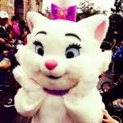 ぴょん♡の画像
