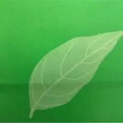 トゥントゥンサッフル