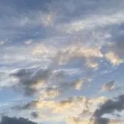 Bの画像