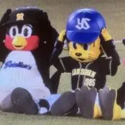 くまころの画像
