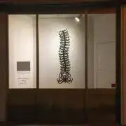 こっちゃん