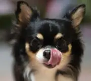 ひなざぶろー
