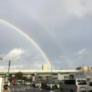 カルパッチョの画像