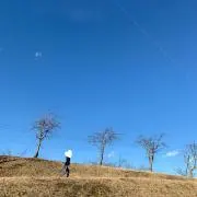 you35の画像