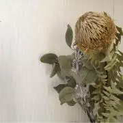 eririの画像