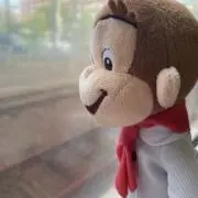 Georgeの画像
