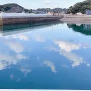 あめのみの画像