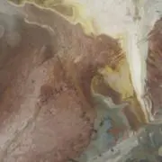 ◎の画像