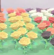 nonmama