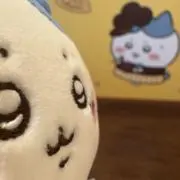 なつこむ